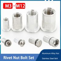 M3 M4 M5 M6 M8 M10 M12 aluminium Aloi paku keling kepala datar mur berulir masukkan baja nirkarat baut Allen baut Hex sekrup Rivetnut Set