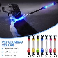 Dog Anti Lost Safety Glowing Collar Outdoor Waterproof Warning LED Flashing Light Strip for Pet Leash Harness Dog Accessories Leashes