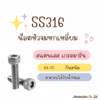 น็อตหัวจมหกเหลี่ยม  สกรูหัวจมหกเหลี่ยม เกรดมารีน 316 แสตนเลส ใช้กับน้ำทะเล กันสนิม Bolt เกลียวมิล