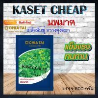 เมล็ดพันธุ์ ผัก กวางตุ้งดอก นพมาศ เมล็ดพันธุ์ กวางตุ้งดอก ตรา เจียไต๋ บรรจุ 500 กรัม ต่อ 1 ซอง