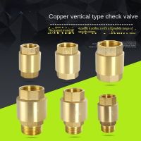 200WOG Male for Water Gas Oil Control Devices Valve DN15/DN20/DN25 NPT Brass Thread Check Valve One Way Non Return Check Valve