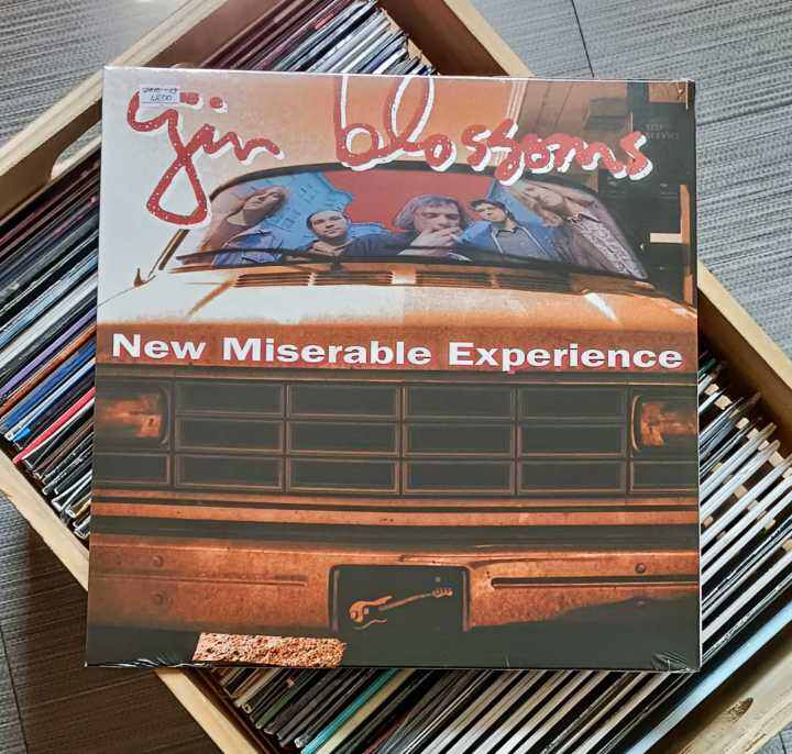 Gin Blossoms New Miserable Experience Vinyl LP Plaka The Grey