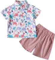 Toddler Boys Short Sleeve Cartoon Dinosaur Prints T Shirt Tops Shorts Child Kids Gentleman Outfits (Pink, 3-4 Years)