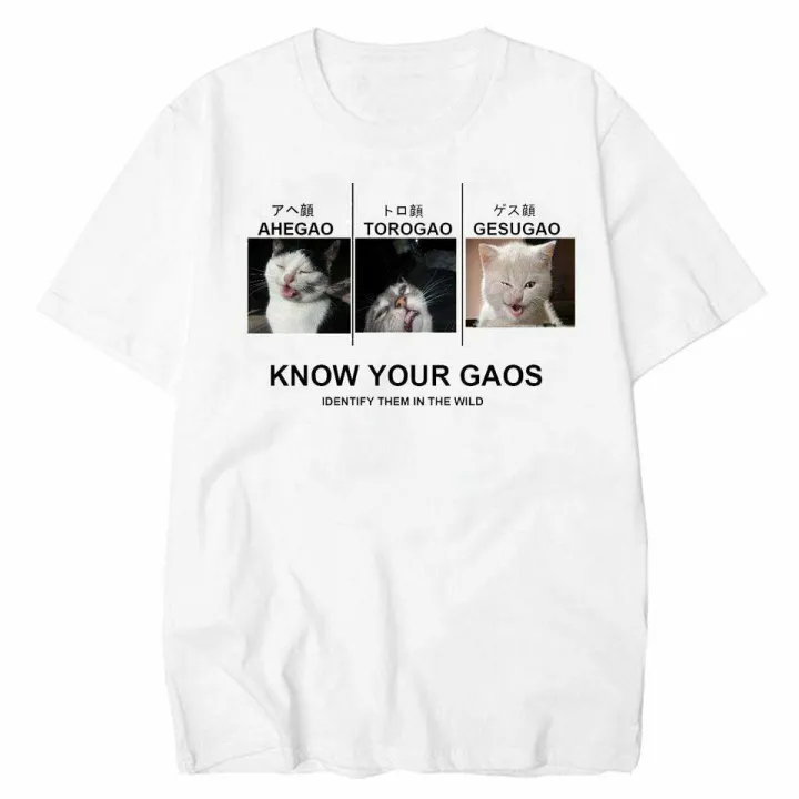 Know Your Face Ahegao Torogao Gesugao Cat Hentai Meme White Tshirt