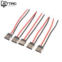 5pcs Type-C 2pin Soldered Female Base W/ Wire Typec Female Socket For Mobile Phone Charging Type -c Port Charging Interface Jack Cables Converters