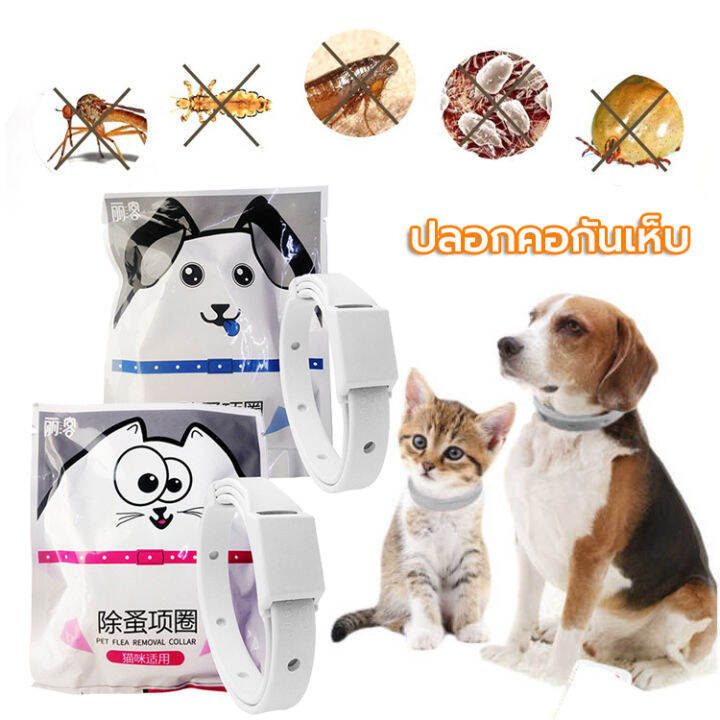 ปลอกคอกันเห็บ-กําจัดเห็บและหมัด-ปลอกคอกันเห็บหมัด-สำหรับสุนัขและแมว-สำหรับสุนัข-แมว-สายจูงแมว