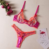 2023 Korean 2 Piece Fairy Lingerie Floral Embroidery Fancy Underwear Transparent Bra Delicate Pink Intimate Luxury Lace Set