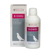 ❗️❗️ SALE ❗️❗️ B-CHOL อาหารเสริมสำหรับนก บำรุงตับ ขับสารพิษจากตับ กระตุ้นการผลัดขน (500 ml.), Versele Laga !! อาหารเสริม และวิตามิน Supplements &amp; Vitamins บริการเก็บเงินปลายทาง โปรโมชั่นสุดคุ้ม โค้งสุดท้าย ราคาถูก คุณภาพดี โปรดอ่านรายละเอียดก่อนสั่ง