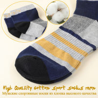 5 PairsLot Socks Men Running Sport Cotton Absorb Sweat Colorful Stripe Summer Short Ankle Gym Athletic Outdoor Travel Casual