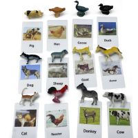 MEFU4ของเล่นเด็กกระดาษชำระพิมพ์ลายของเล่นเด็ก Permainan Teka-Teki การศึกษาเตรียมอนุบาลจับคู่รูปสัตว์ของเล่นเสริมพัฒนาการการ์ดจับคู่รูปสัตว์โมเดลสัตว์ปีก