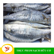Mắm cá thu Loại 1-Chưng thịt ba rọi,Chưng trứng  1kg, 500gr, 200gr- MINH