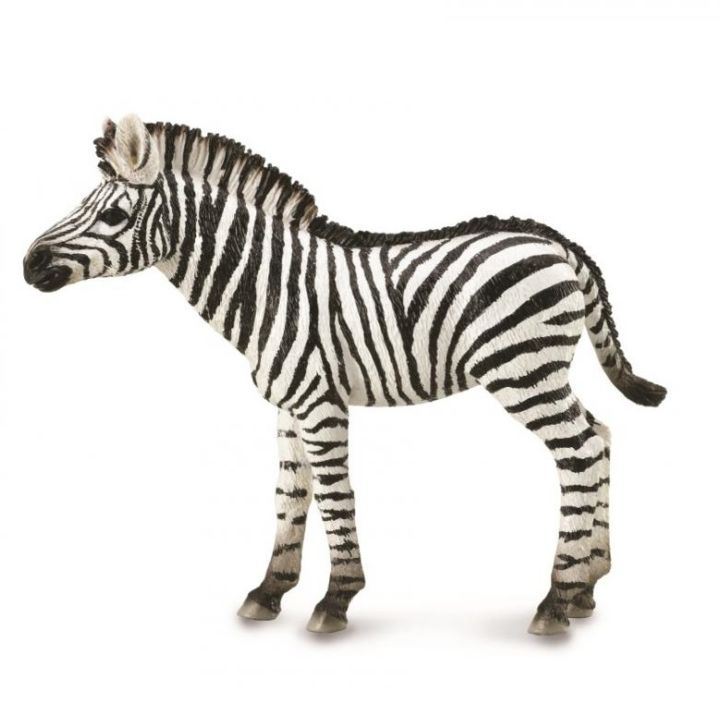 prehistoric zebra