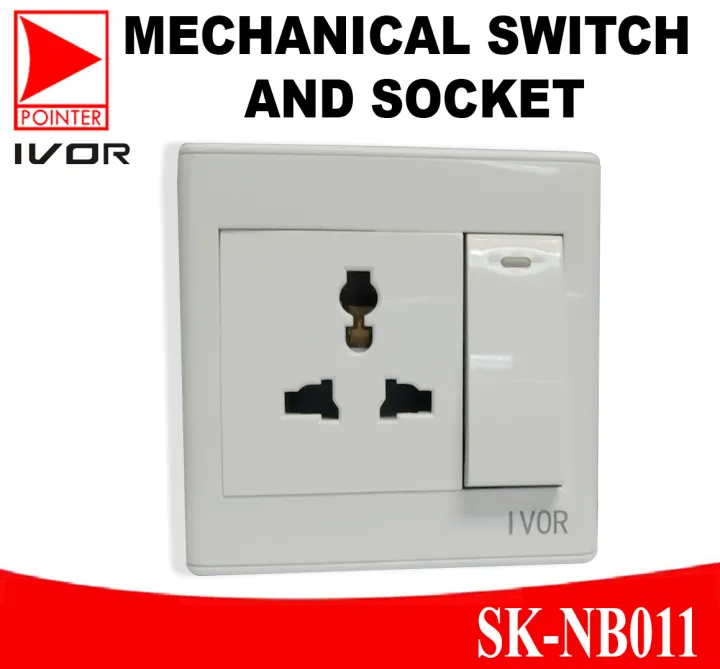 Onegang switch + multifunctional socket Switch and Socket with Plate