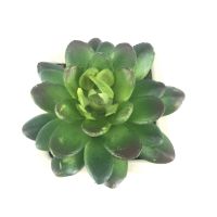 พืชปลอม ( เฉพาะหัวไม่รวมกระถาง ) Green Echeveria head ไม้อวบน้ำปลอม สำหรับประดับตกแต่งสวนจิ๋ว สวนขวดแก้ว สวนถาด