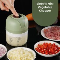 【CW】 100/250ml USB Electric Garlic Masher Tools Mincer Press Grinder Meat Food Vegetable A0K4