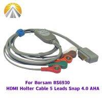 2013สาย Borsam 5/10 Lead พร้อมสายสแน็ป4.0ประเภท AHA มาตรฐานสำหรับโฮลเตอร์มอนิเตอร์