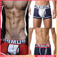 3Pcs Popular Man Underwear Boxer Men Low Waist Cotton Innerwear Sexy Mens Panties Boxers Shorts Underpants Masculino