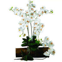 Phalaenopsis Stem ดอกไม้ประดิษฐ์ (ชุด6ชิ้น) สีเบจ