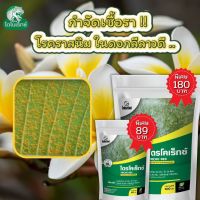 กำจัดเชื้อรา สาเหตุของโรคราสนิม ใน ดอกลีลาวดี ไตรโคเดอร์มา ไตรโคเร็กซ์ ปลอดภัยต่อคนและสัตว์เลี้ยง