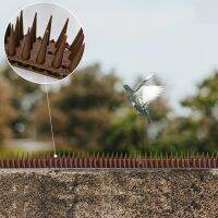 20/30/40/50CM Anti Climbing Anti-theft Bird Spike Wall Fence Practical Yard Garden Wall Window Security Railing Appliances Gardening Tools