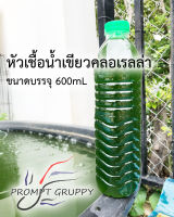 น้ำเขียวไรแดง น้ำเขียวคลอเรลล่า หัวเชื้อน้ำเขียว อาหารไรแดง บรรจุขนาด 600ml