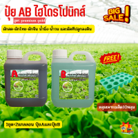 ปุ๋ยไฮโดรโปนิกส์ ปุ๋ยAB ปุ๋ยน้ำ สำหรับปลูกผักไร้ดิน ขนาด 1000ml ขนาดสุดคุ้ม พร้อมส่ง