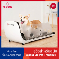 Yesoul Q1 Pet Treadmill ลู่วิ่งสุนัข มีถ้วยใส่อาหาร ของเล่นสัตว์เลี้ยง ลู่วิ่งหมา ลู่วิ่ง