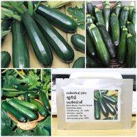 เมล็ดพันธุ์ ซูกินี แบล็คบิวตี้ (Black Beauty Zucchini Squash Seed) 25 เมล็ด คุณภาพดี ราคาถูก ของแท้