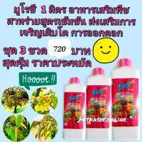 อาหารเสริมพืช ฮอร์โมนพืช ปุ๋ยเร่งดอก ยูโรซี ชุด 3ขวด ชุดสุดคุ้ม ส่งเสริมการเจริญเติบโตของพืช กระตุ้นการออกดอก ให้ดอกสมบูรณ์แข็งแรง