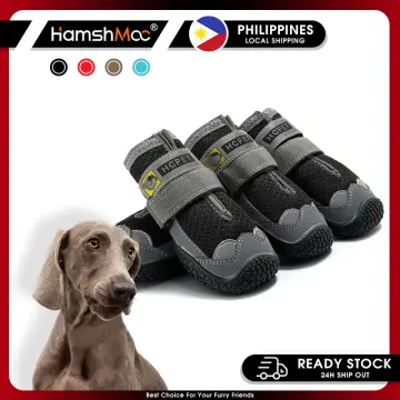 Dog 2025 shoes lazada