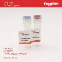 T4 Ligase 40000U PH0642 PHYGENE