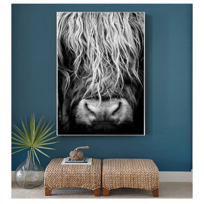 Cattle Print On Canvas Wall Art Pictures Animal painting for Living Room Home Decor Modern Abstract Scottish Highlander