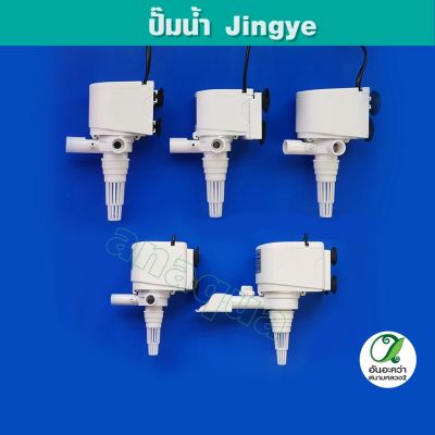 JINGYE ปั๊มน้ำ JY-810/815/1300/1800/2500