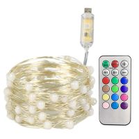 ZZOOI USB RGB LED Pixels String Christmas Lights 10m 5m RF 21keys Remote WS2812B SK6812 IC Addressable Individually Holiday Light 5V