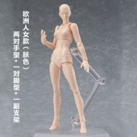 2023figma หุ่นหุ่นหุ่นของเล่นหุ่นญี่ปุ่นรูปกล้ามเนื้อวาดข้อต่อแบบเคลื่อนย้ายได้ shf ร่างกาย