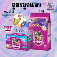 [ G&amp;T Shop ] เซ็ทอาหารแมว Whiskas สูตรลูกแมวสุดคุ้ม GT22