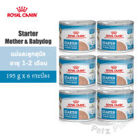 Royal Canin Starter Mother&amp;Babydog Mousse สำหรับแม่สุนัขตั้งท้อง ให้นม และลูกสุนัข หย่านม-2เดือน ขนาด195กรัม x 6 กระป๋อง