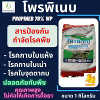 โพรพิเนบ ตรา กิเลนฟ้า(สารเดียวกับแอนทราโคล) ขนาด 1 กิโลกรัม ป้องกันโรคพืช โรคใบจุดสีน้ำตาลในข้าว และเชื้อรา โรคพืชได้หลายชนิด