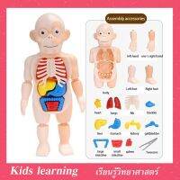 toytoy ของเล่นเด็ก Kids learningHuman Body Modelโมเดลร่างกายสำหรับเด็ก ของเล่นเสริมพัฒนาการ