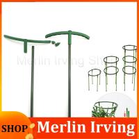 Merlin Irving Shop Plant Support Holder Pile Stand climb for Flowers grow Semicircle Greenhouses Arrangement Fixing Rod Orchard Garden Tool