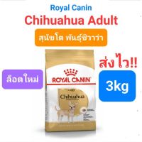 HOG อาหารสุนัข Royal Canin Chihuahua Adult 3kg รอยัลคานิน สำหรับสุนัขโต พันธุ์ชิวาวา อายุ 8 เดือนขึ้นไป อาหารหมา  สำหรับสุนัข