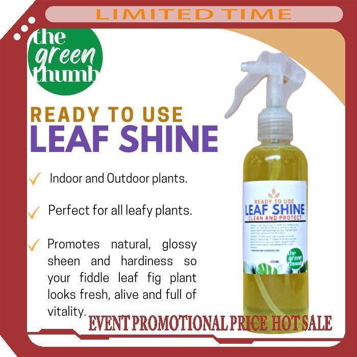 Mga Bagong Produkto 】 The Green Thumb (250ml READY TO USE) 100 Organic