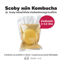 Scoby น้ำตั้งต้น หมักคอมบูชา 200 ml. หมักได้ 2 ลิตร พร้อมคำแนะนำ คอมบูชา ชาหมักสุขภาพ ปรับสมดุลระบบขับถ่าย แก้ท้องผูก ลดกรดไหลย้อน ลดน้ำหนัก