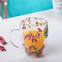 【lz】℡  1 Peça Criativa Parede Dupla Copo De Caneca De Vidro com Flor Seca Do Mar Caracol Conchs Glitters Recheios para Café Suco De Leite copo