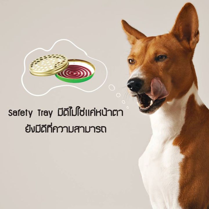 42pets-buxaway-ยาจุดกันยุงสัตว์เลี้ยง-ปลอดภัยสำหรับสัตว์เลี้ยงและคน-ยากันยุงสำหรับสุนัขและแมว-ที่สุนัขและแมว-ยากันยุง