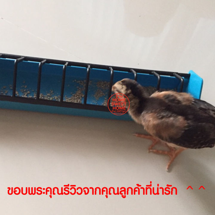 ค่าส่งถูก-รางอาหารไก่-รางอาหารนก-ยาว-22นิ้ว-56ซม-ที่ให้อาหารไก่-เป็ด-นกกระทา-รางอาหารไก่เล็ก-เกรดa-อย่างดี-คละสี