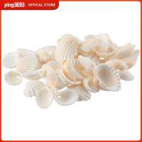 PING3693 100Grams 100กรัม ธรรมชาติตามธรรมชาติ สีขาวขาว 9x15mm เปลือกหอยทะเล การทำเครื่องประดับ ชายหาดริมชายหาด สร้อยคอสำหรับผู้หญิง