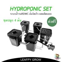 ?โปรดี!!  ชุดปลูกไฮโดรโปรนิกส์ 4 ต้น ระบบ RDWC ต้นโตเร็ว ผลผลิตเพิ่มขึ้น Hydroponic RDWC Grow Set สุดคุ้ม