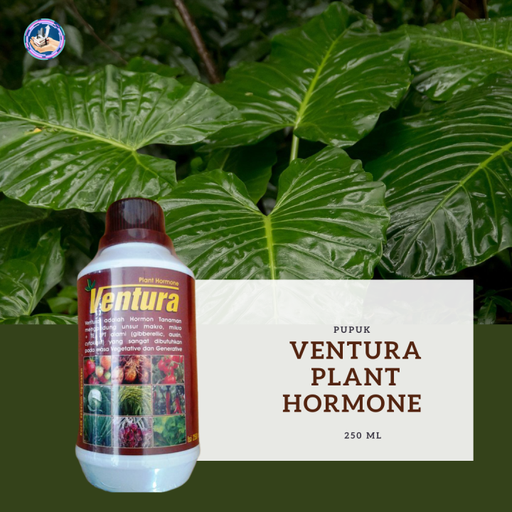 Pupuk Ventura Plant Hormone 250 Ml Pupuk Pertumbuhan Hormon