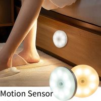 LED Night Light with Motion Sensor Chargeable  Smart Wall Mounted Lamp for Stairs Hallway  Automatic Switch